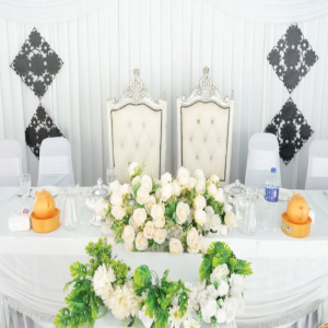 Premium Wedding Canopy Set